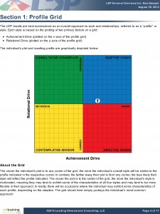 LDP Personality Profiling Report Colour Grid