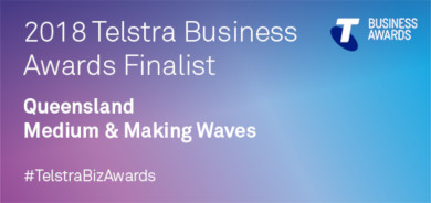 Telstra Business Awards 2018 QLD Finalist logo